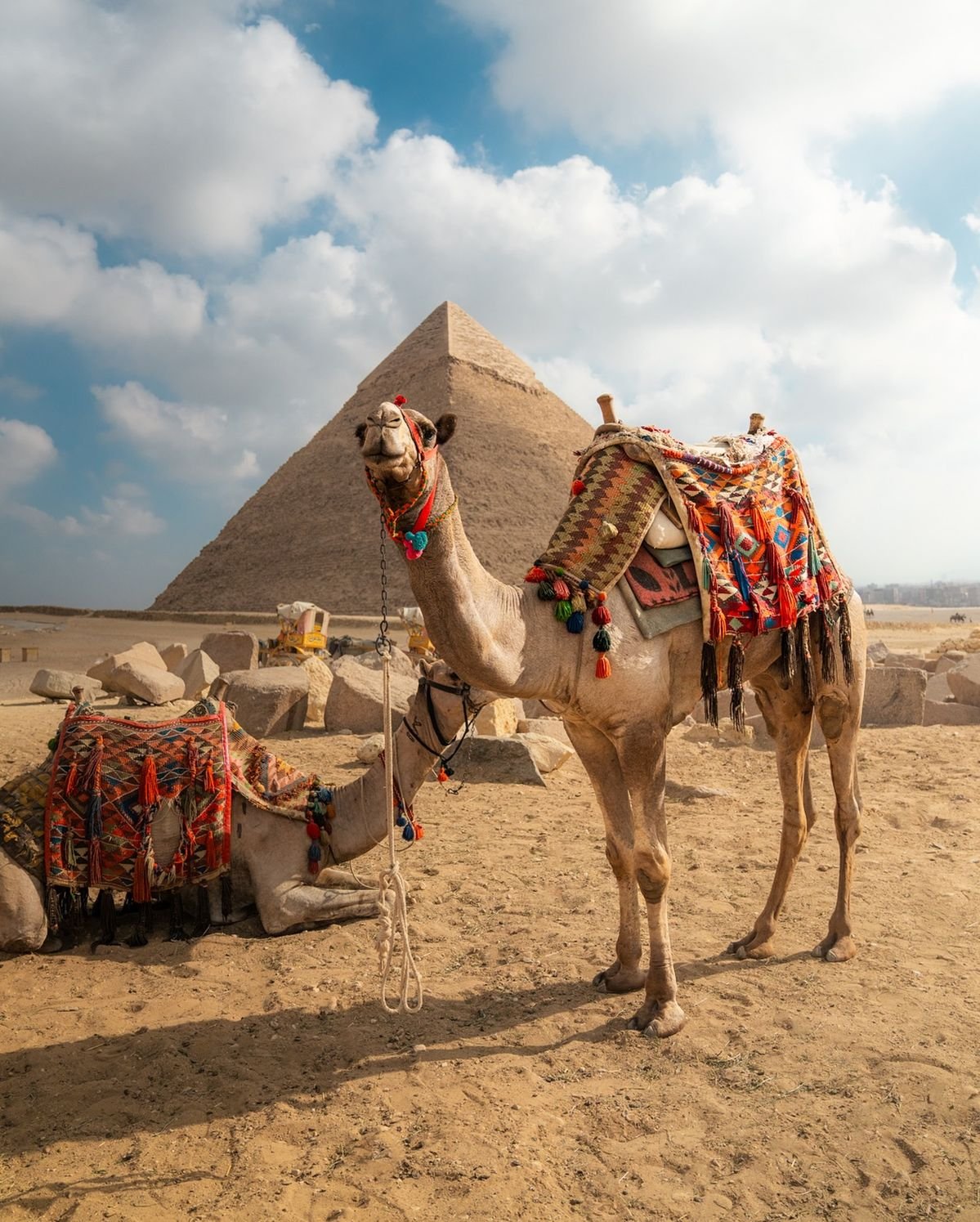 Voleta Egypt Tours