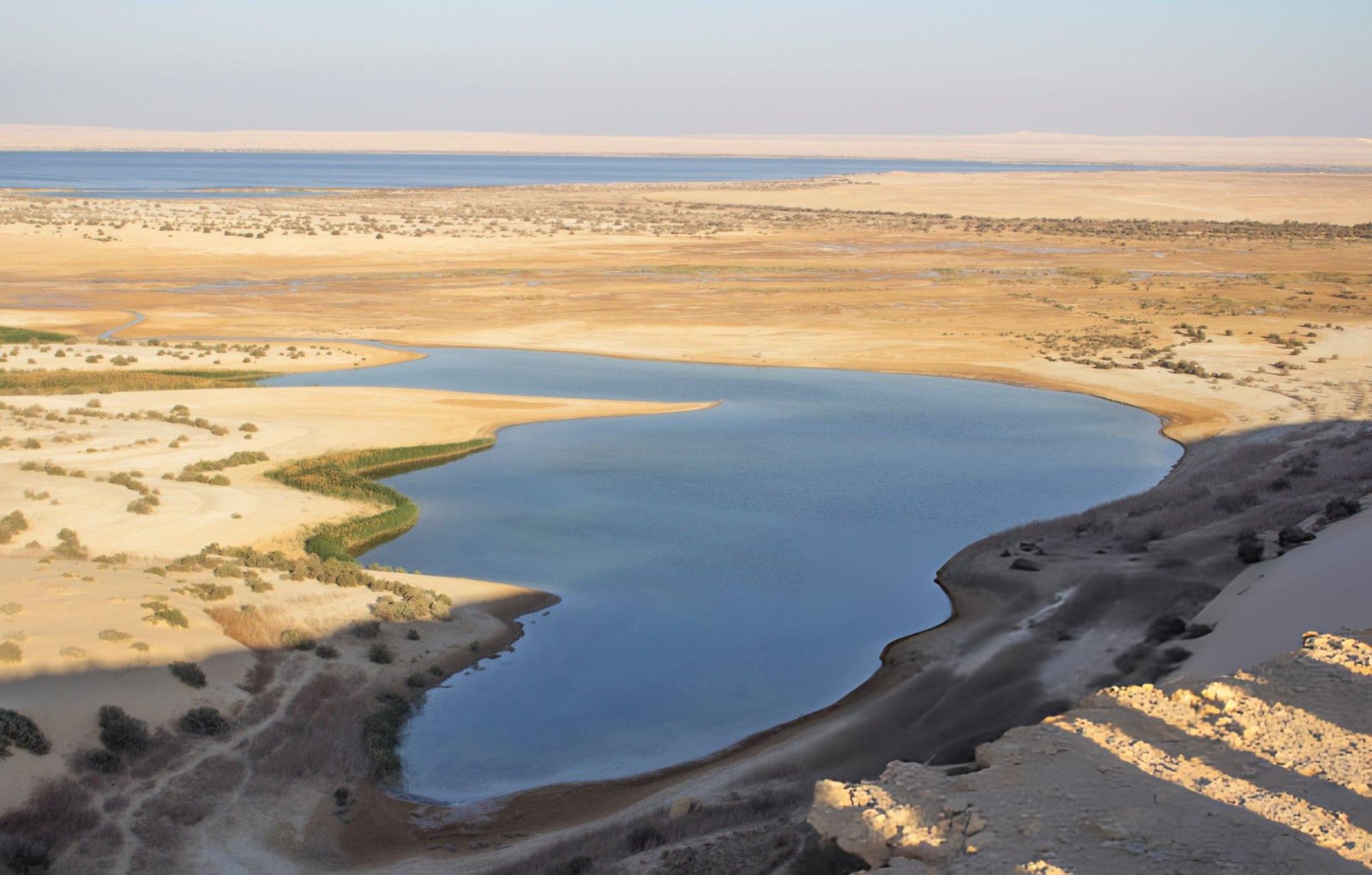 Excursión al oasis de Fayoum (Lago Mágico, sandboarding y safari por el desierto) desde El Cairo.