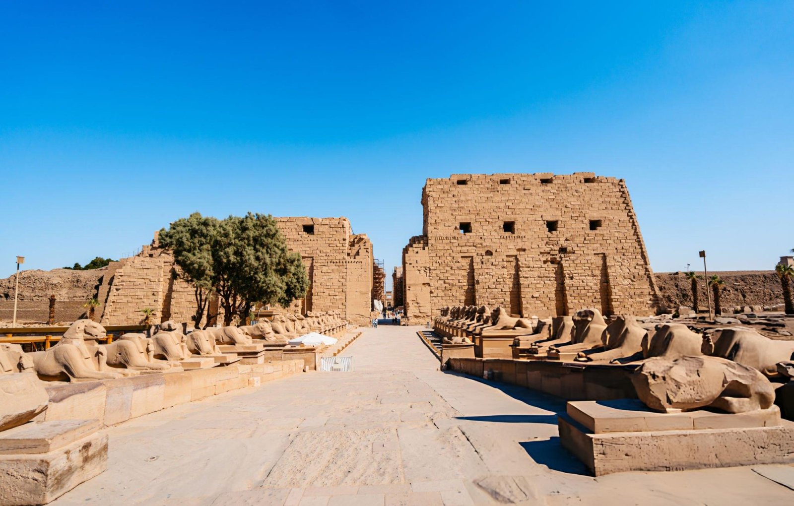 Day Trip to Luxor East Bank